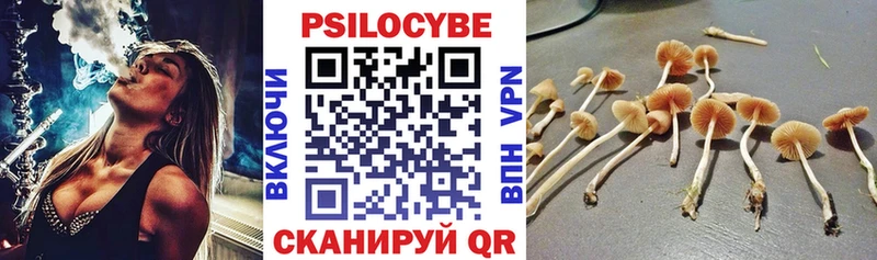 магазин  наркотиков  Белгород  Галлюциногенные грибы MAGIC MUSHROOMS 
